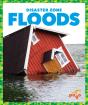 Floods - Preview