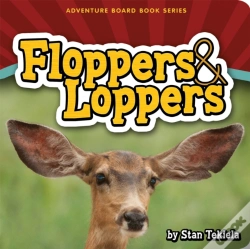 Capa do artigo Floppers & Loppers