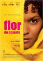 Flor do Deserto - Preview