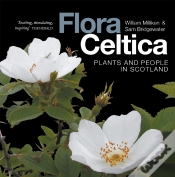 Capa do artigo Flora Celtica