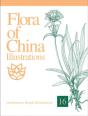 Flora Of China Illustrations, Volume 16 - Gentianaceae Through Boraginaceae - Preview