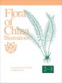 Flora Of China Illustrations, Volume 2-3 - Polypodiaceae Through Lycopodiaceae - Preview