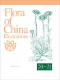 Flora Of China Illustrations, Volume 20-21 - Asteraceae - Preview