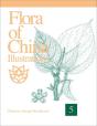 Flora Of China Illustrations, Volume 5 - Ulmaceae Through Basellaceae - Preview