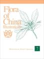 Flora Of China Illustrations, Volume 7 - Menispermaceae Through Capparaceae - Preview