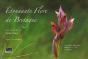 Flore De Bretagne - Preview
