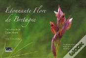Capa do artigo Flore De Bretagne