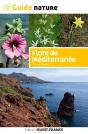 Flore De Méditerrannée - Preview