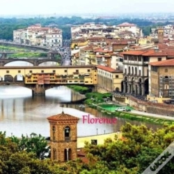 Capa do artigo Florence