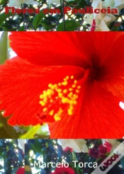 Capa do artigo Flores Em Pauliceia
