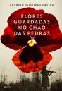 Flores Guardadas no Chão das Pedras - Preview