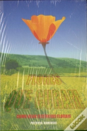 Capa do artigo Flores que Curam