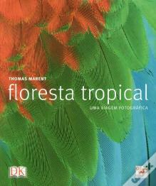 Floresta Tropical