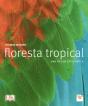 Floresta Tropical - Preview