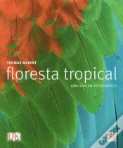 Capa do artigo Floresta Tropical