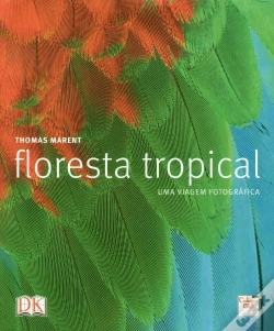 Capa do artigo Floresta Tropical