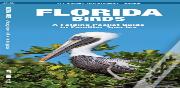 Florida Birds