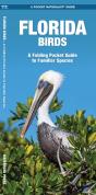 Florida Birds - Preview
