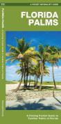Florida Palms - Preview