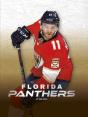 Florida Panthers - Preview