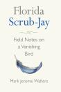 Florida Scrub-Jay - Preview