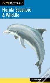 Florida Seashore & Wildlife