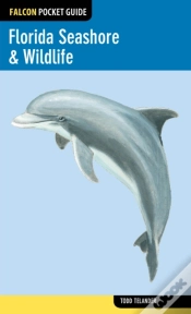 Capa do artigo Florida Seashore & Wildlife