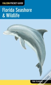 Capa do artigo Florida Seashore & Wildlife