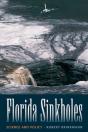 Florida Sinkholes - Preview