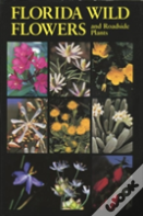 Florida Wild Flower And Roadside Plants