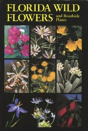 Florida Wild Flower And Roadside Plants - Preview