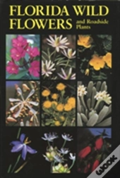 Florida Wild Flower And Roadside Plants