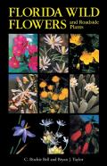 Florida Wild Flowers And Roadside Plants