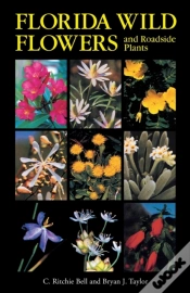 Capa do artigo Florida Wild Flowers And Roadside Plants