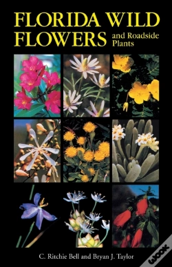 Capa do artigo Florida Wild Flowers And Roadside Plants