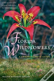 Capa do artigo Florida Wildflowers