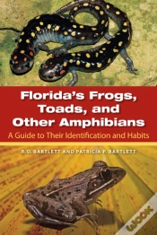 Capa do artigo Florida
