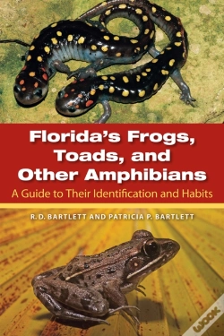 Capa do artigo Florida'S Frogs, Toads, And Other Amphibians