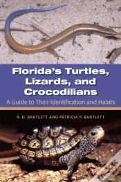 Capa do artigo Florida