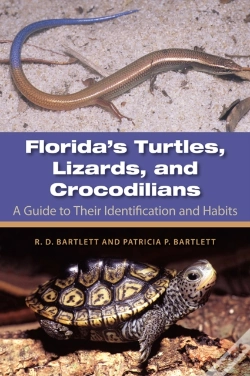 Capa do artigo Florida'S Turtles, Lizards, And Crocodilians