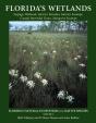 Florida'S Wetlands - Preview
