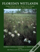 Florida'S Wetlands