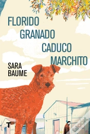 Capa do artigo Florido Granado Caduco Marchito