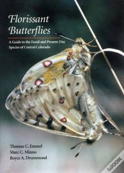Capa do artigo Florissant Butterflies