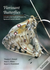 Florissant Butterflies