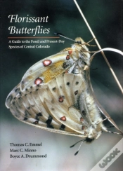 Capa do artigo Florissant Butterflies