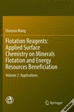 Capa do artigo Flotation Reagents: Applied Surface Chemistry On Minerals Flotation And Energy Resources Beneficiation