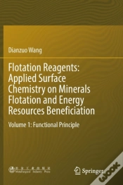 Capa do artigo Flotation Reagents: Applied Surface Chemistry On Minerals Flotation And Energy Resources Beneficiation