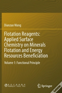 Capa do artigo Flotation Reagents: Applied Surface Chemistry On Minerals Flotation And Energy Resources Beneficiation