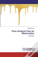Flow Analysis Past An Obstruction